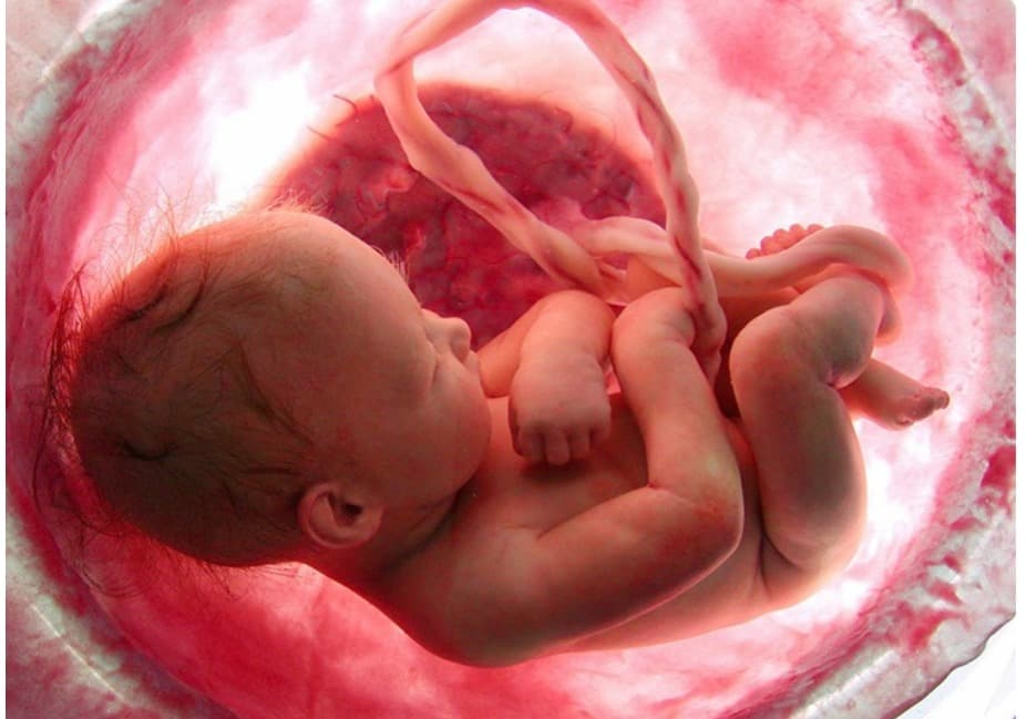 Gynecologist Obstetricians in Chamrajpet: Comprehensive Women’s Healthcare at Brindhavvan Areion Hospitals