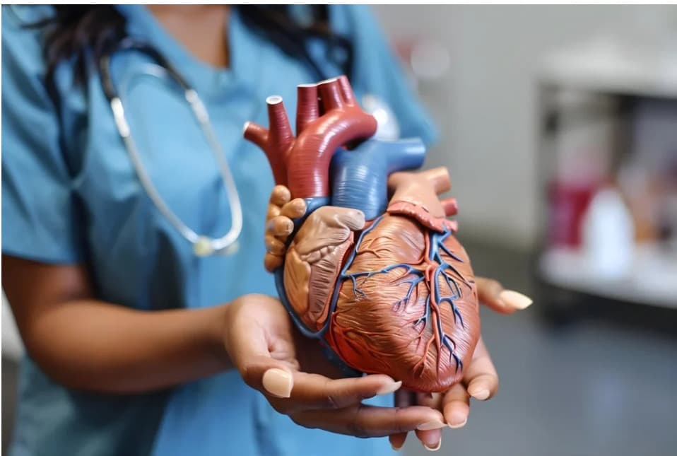 Comprehensive Heart Care Services Backed by Advanced Cardiology Expertise