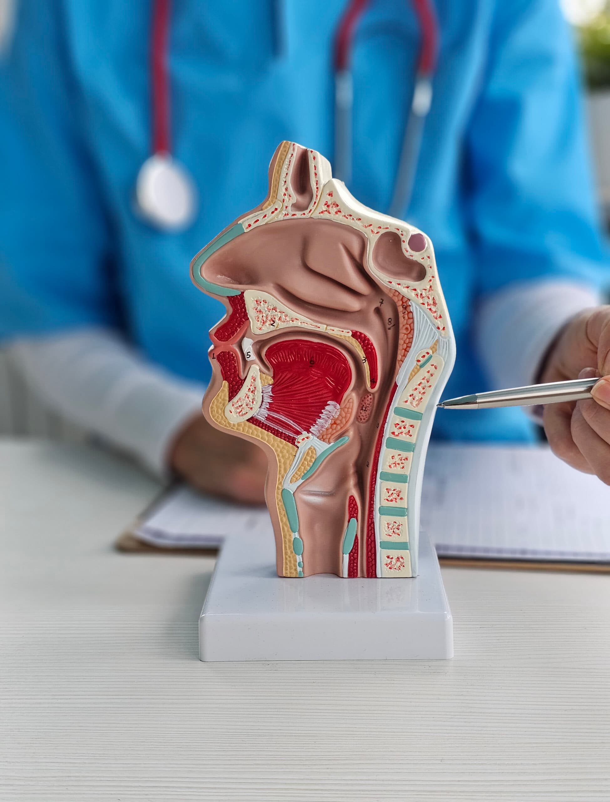 Specialized ENT Care: Complete Solutions for Ear, Nose, and Throat Conditions