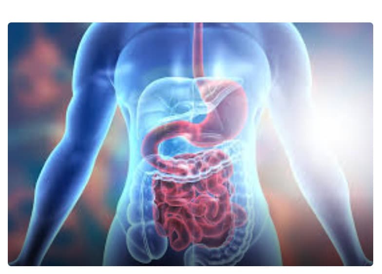 Expert Digestive Surgery You Can Trust – Meet Dr. Nagesh N.S in Chamarajpet