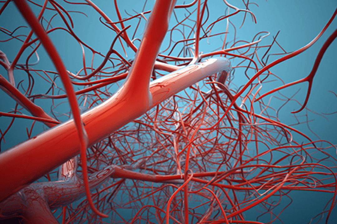 Leading Vascular Care in Jayanagar: Spotlight on Dr. Murali Krishna and Top Hospitals