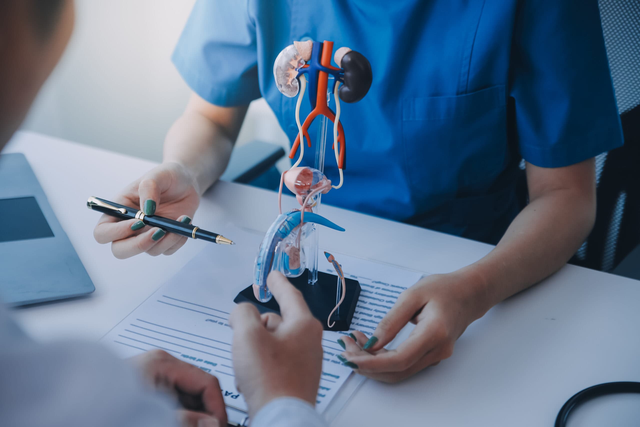 The Comprehensive Guide to World-Class Urology Care: Choosing the Best Urology Hospital in Bangalore